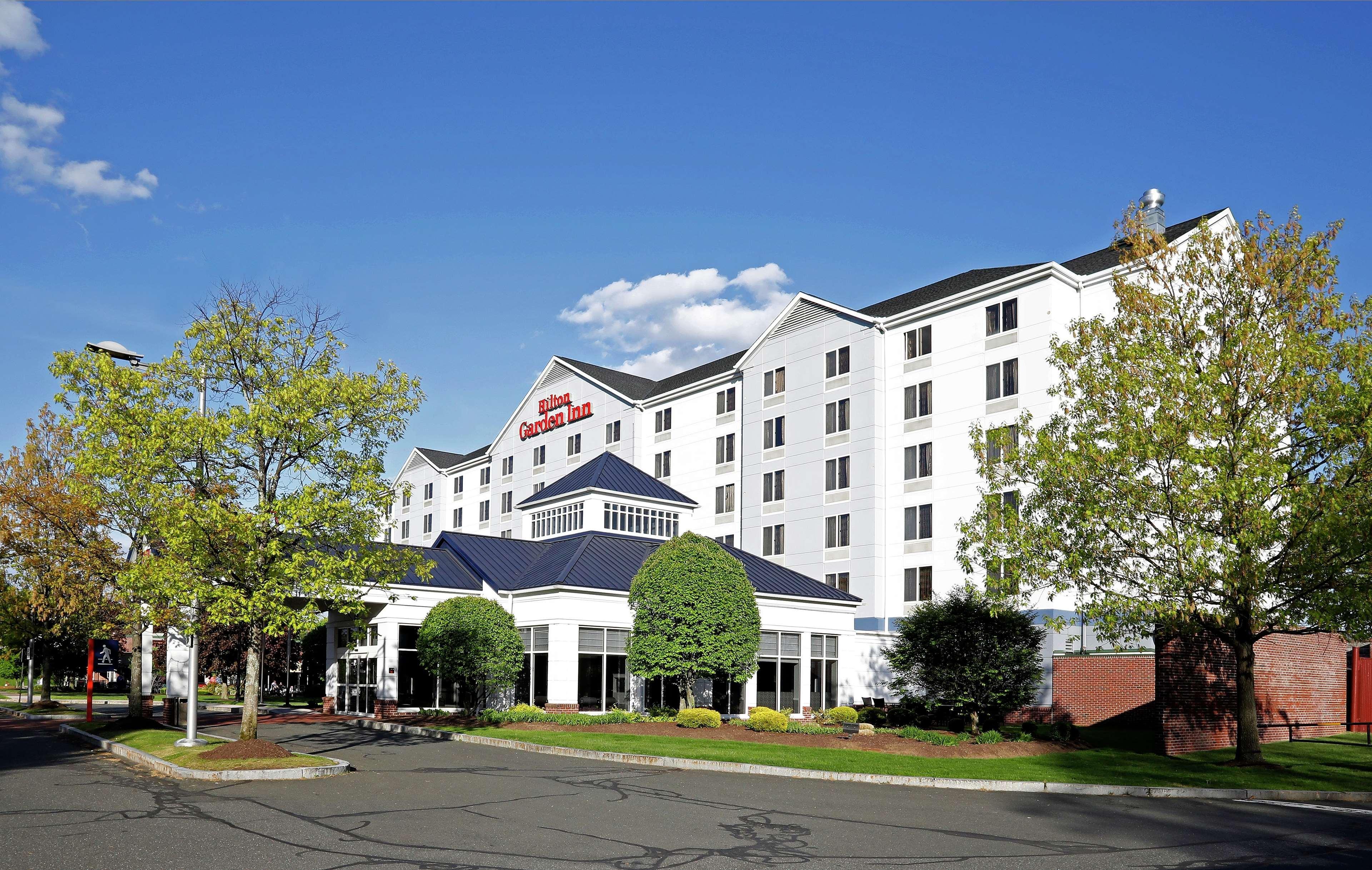 Hilton Garden Inn Springfield, Ma Eksteriør billede