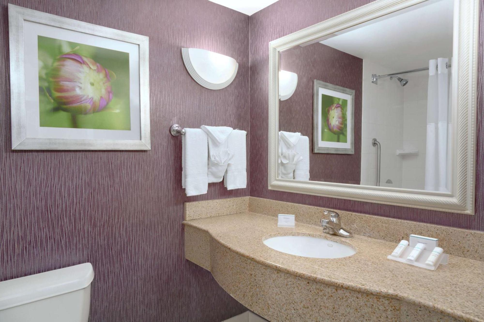 Hilton Garden Inn Springfield, Ma Eksteriør billede