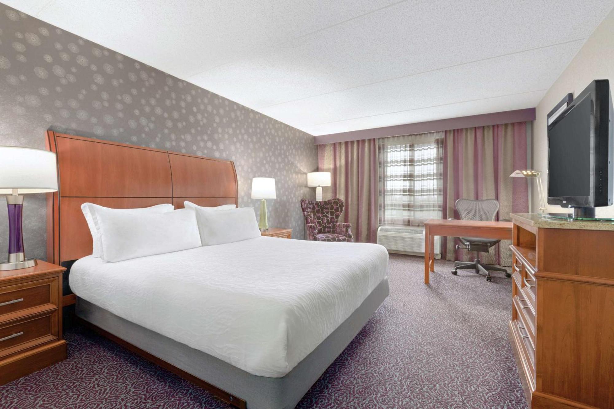 Hilton Garden Inn Springfield, Ma Eksteriør billede